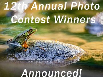 12th Annual Photo Contest Winners Announced